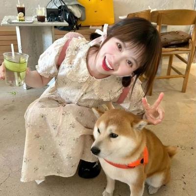 首尔告白